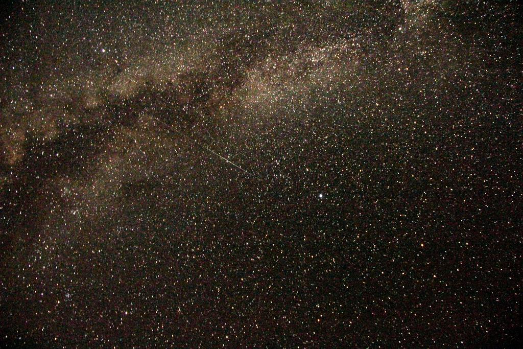 Wadi Rum Sleep Under The Stars Dış mekan fotoğraf